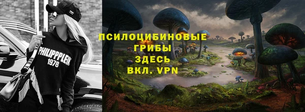 кристаллы Абаза