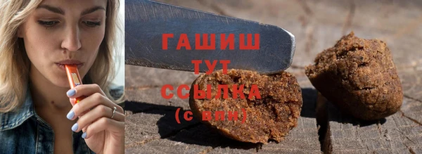PSILOCYBIN Алзамай